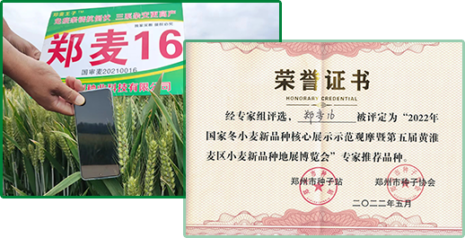 完善的客戶服務(wù)和技術(shù)支持